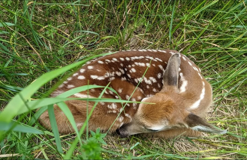 Sustainable Love: Practicing Self-Care in an Overwhelming World